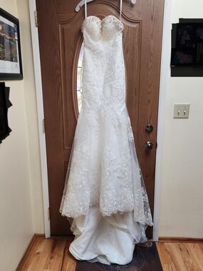 ✨ Petite Dream: Cocomelody Lace Mermaid Gown ✨